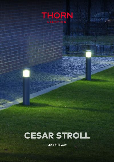 Cesar Stroll - THORN