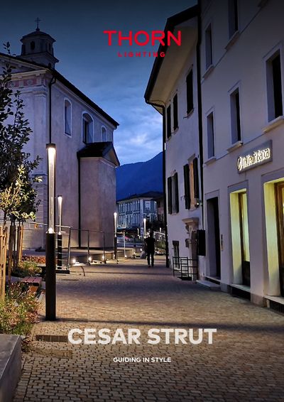 Cesar Strut - THORN