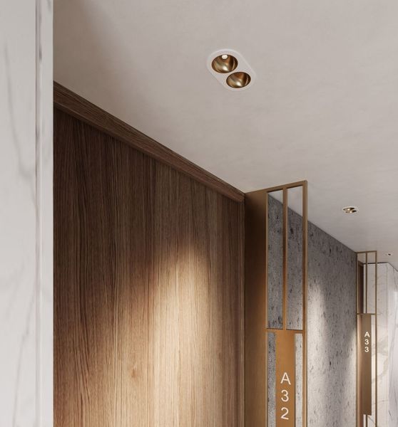 Liy ugradni LED reflektor - Plafonska rasveta - 15945