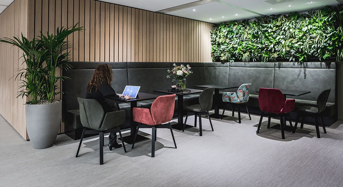 Hotelski tepisi - Tepisi i ćilimi - 16286