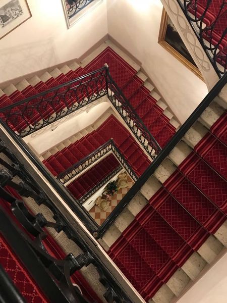 Hotelski tepisi - Tepisi i ćilimi - 16284