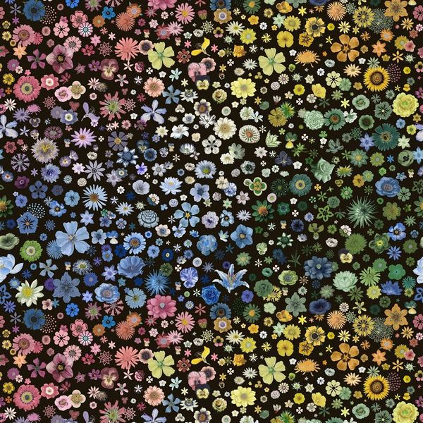 DESIGNER GUILD™ CL - Tapete i zidne obloge - 16562