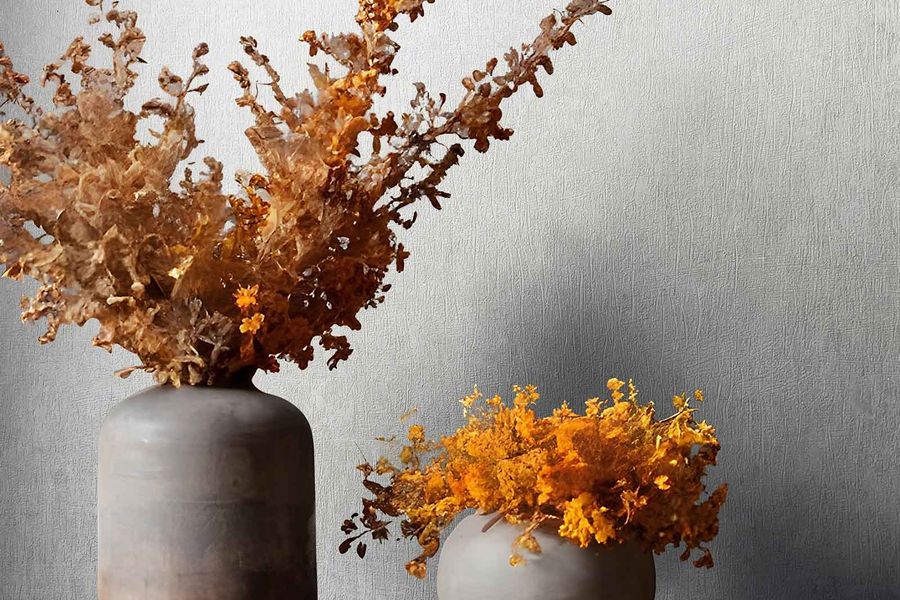 Marburg Ritus 53 - Tapete i zidne obloge - 17005