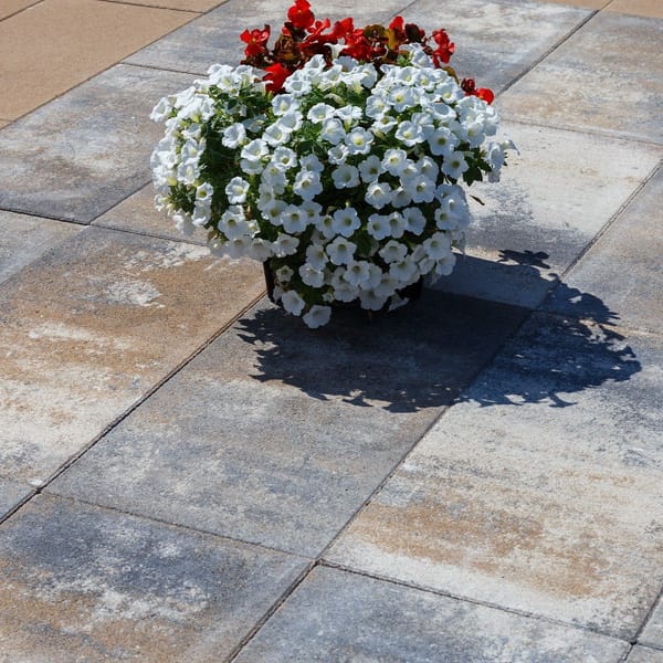 Elegant Behaton - Popločavanje - 18966