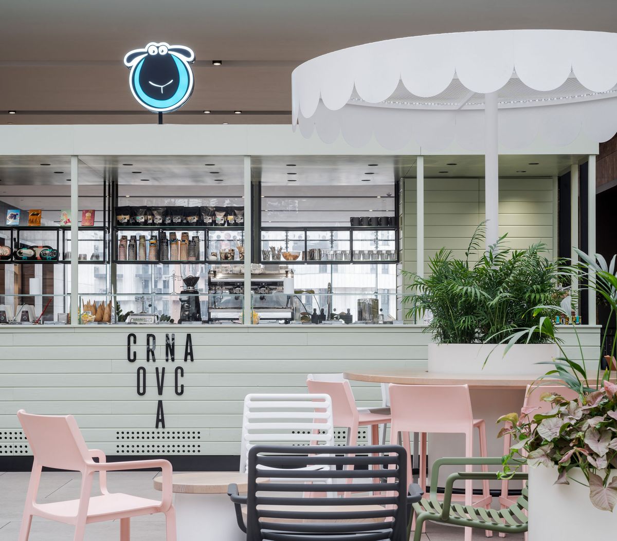 Crna ovca Pop-up – TC Galerija - Objekti trgovine - 8606