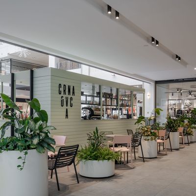 Crna ovca Pop-up – TC Galerija