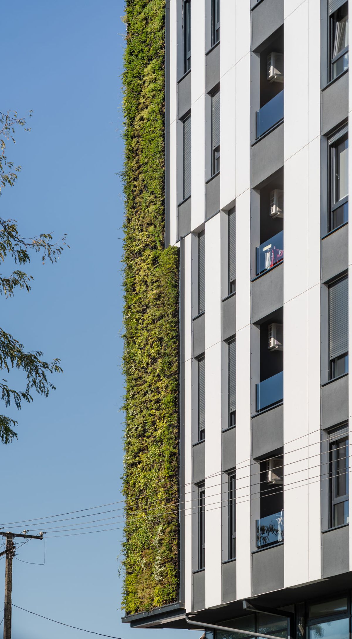 Stambeno-poslovna zgrada u Kisačkoj 66 - Stanovanje - 9275