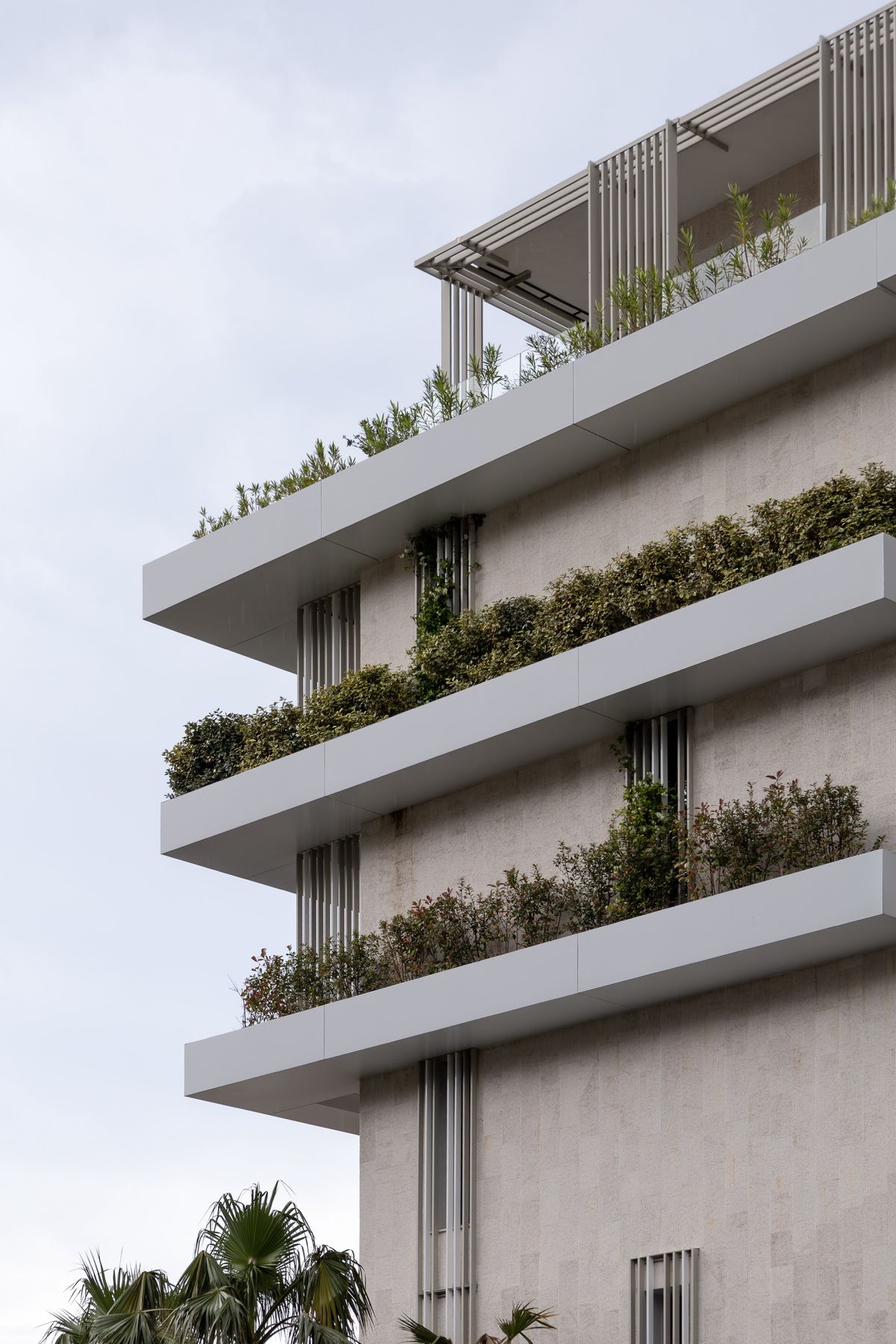 Hotel Carine Kumbor Superior - Ugostiteljski objekti - 9332