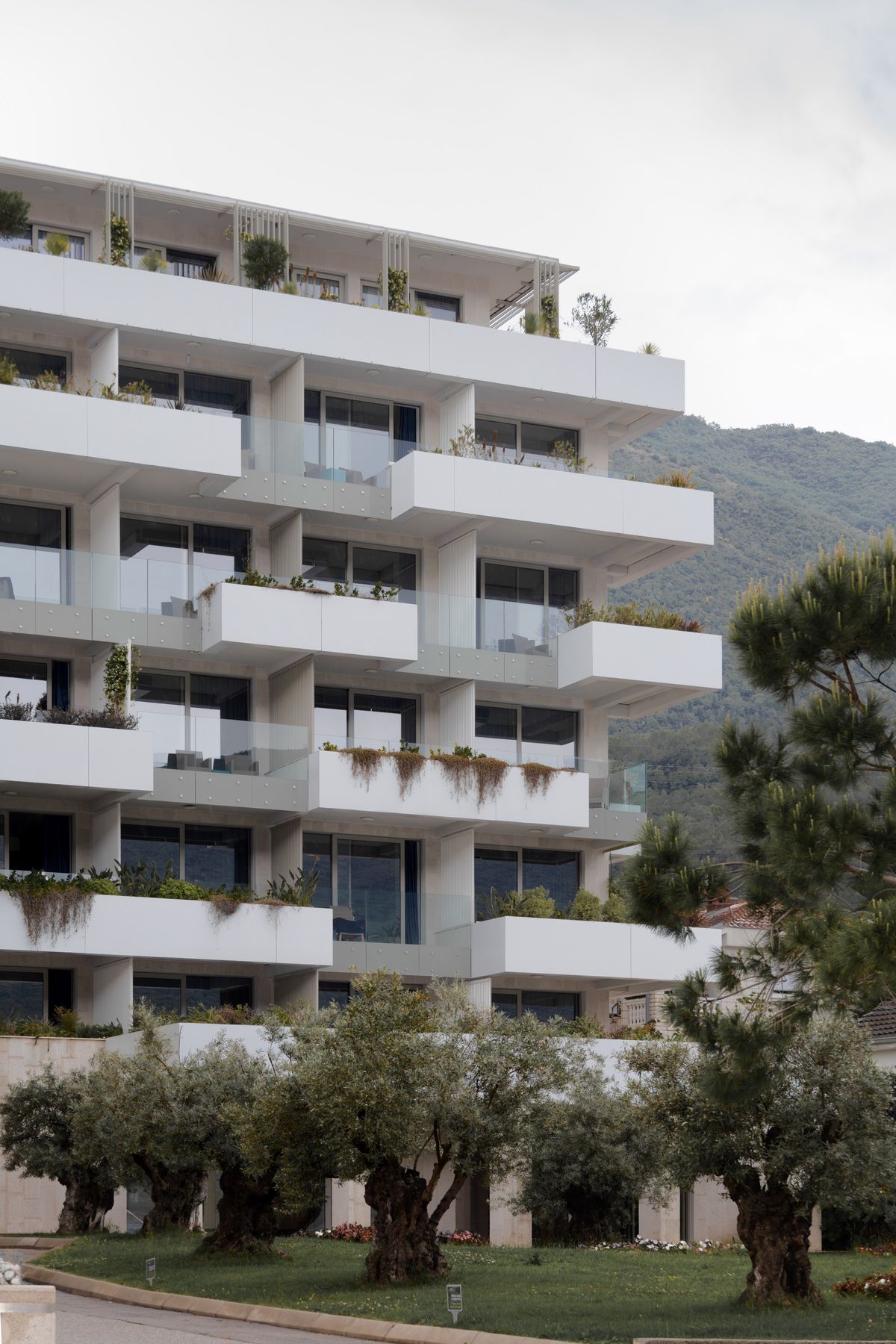 Hotel Carine Kumbor Superior - Ugostiteljski objekti - 9337