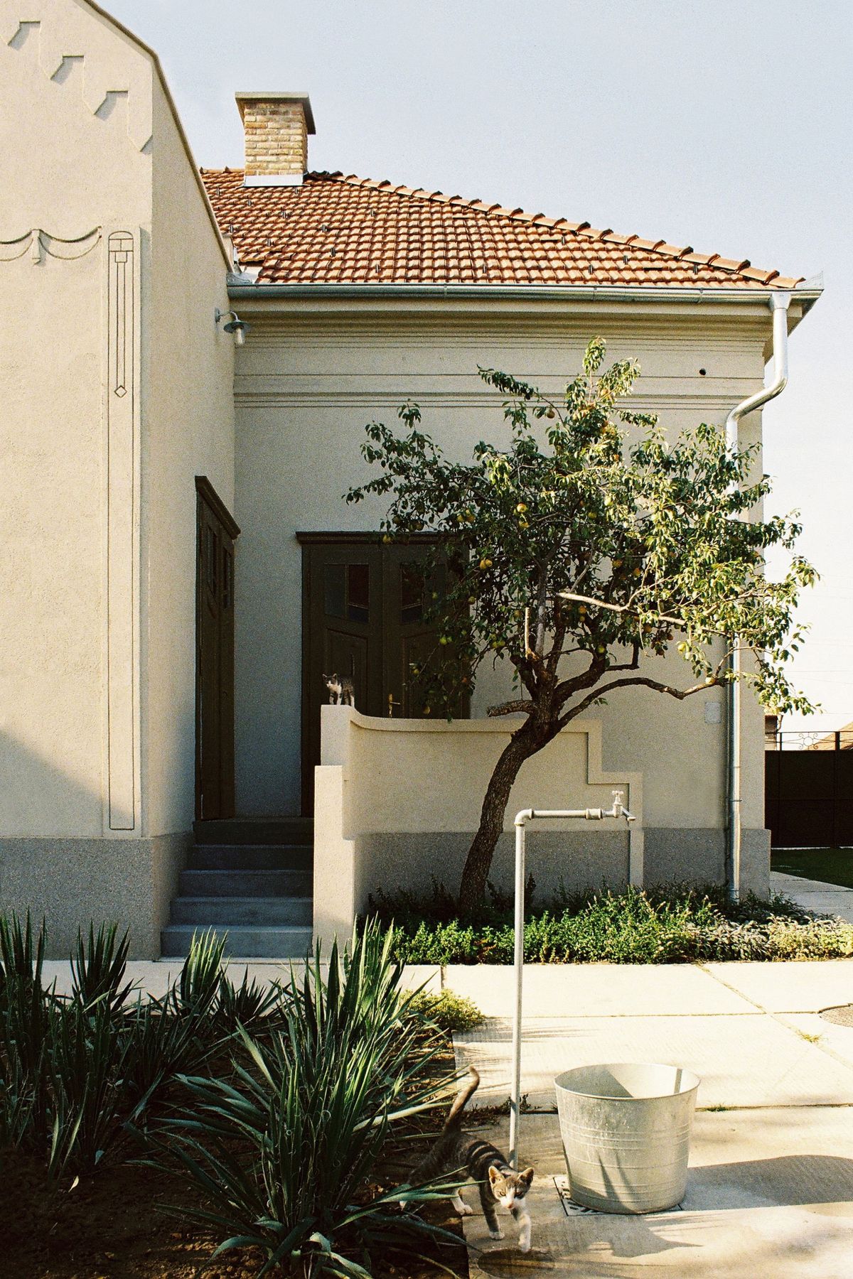 Mokrin House - Komercijalni objekti - 9535