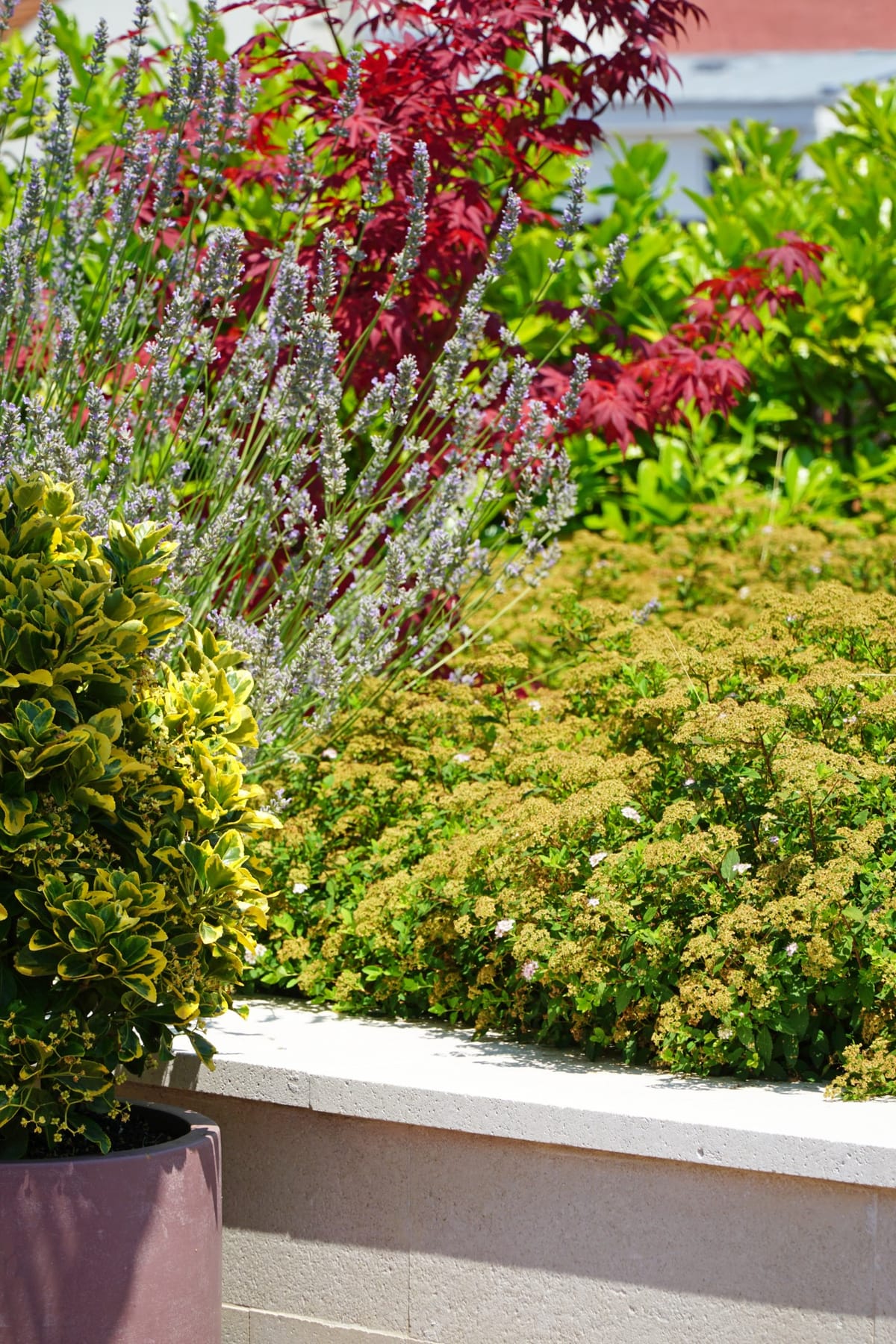 Terasa – manifest spokojnog življenja na otvorenom - Enterijer stana - 9783