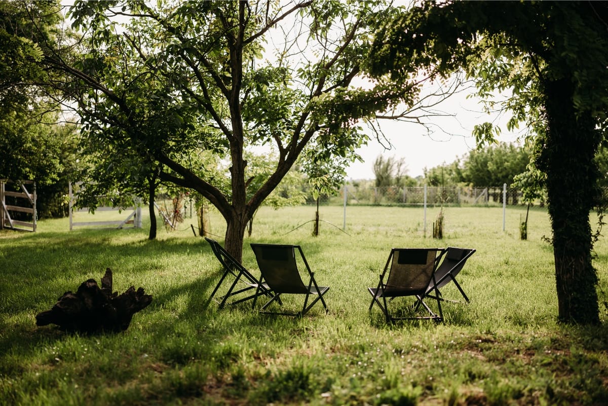 ATARhouse – prostor u prirodi za susrete, predah i kreativnost - Prostori znanja, kulture i umetnosti - 9999