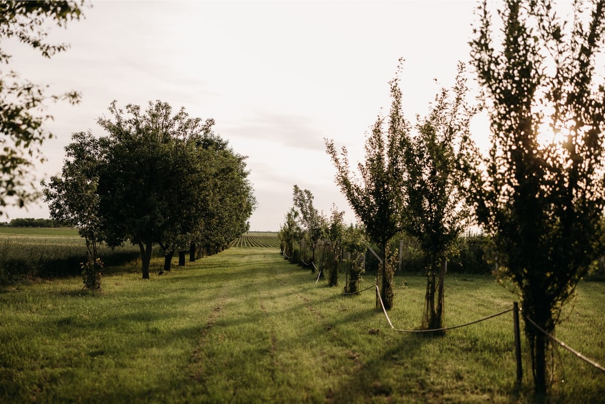 ATARhouse – prostor u prirodi za susrete, predah i kreativnost - Prostori znanja, kulture i umetnosti - 10000
