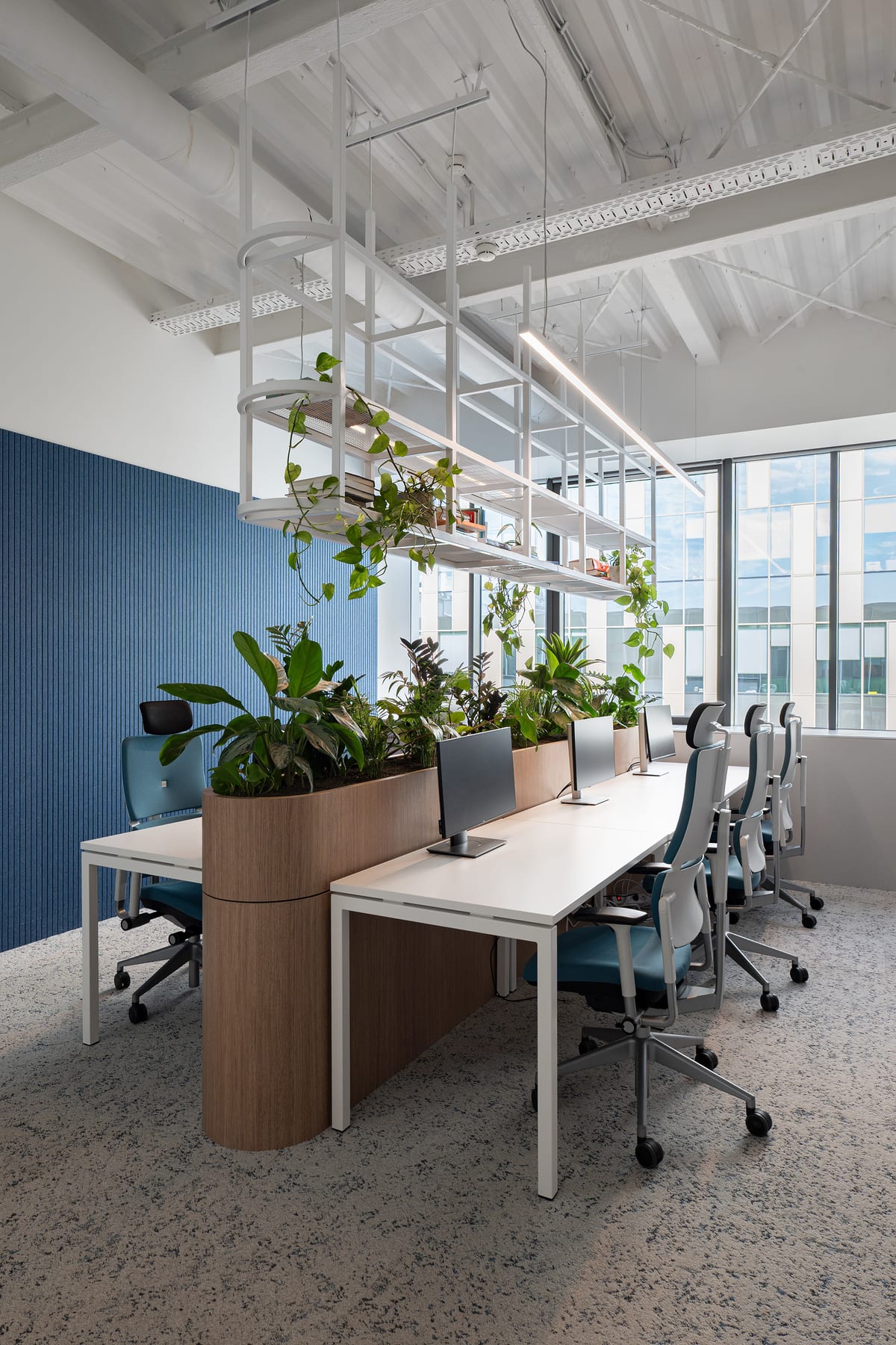 FishingBooker Office, Beograd - Kancelarijski i radni prostori - 10577