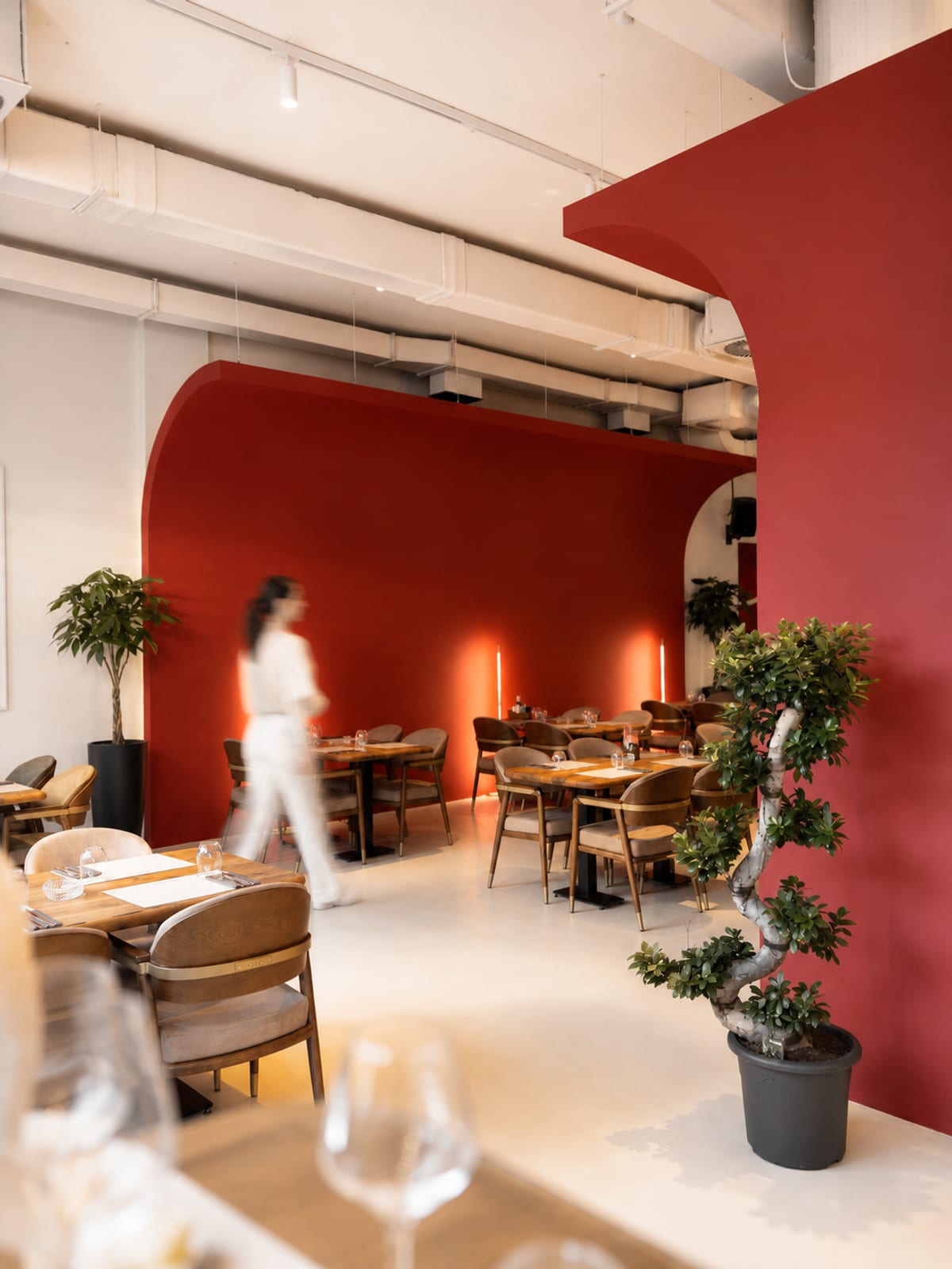 Restoran Zdravko - Restorani, kafei i barovi - Tijana Žišić