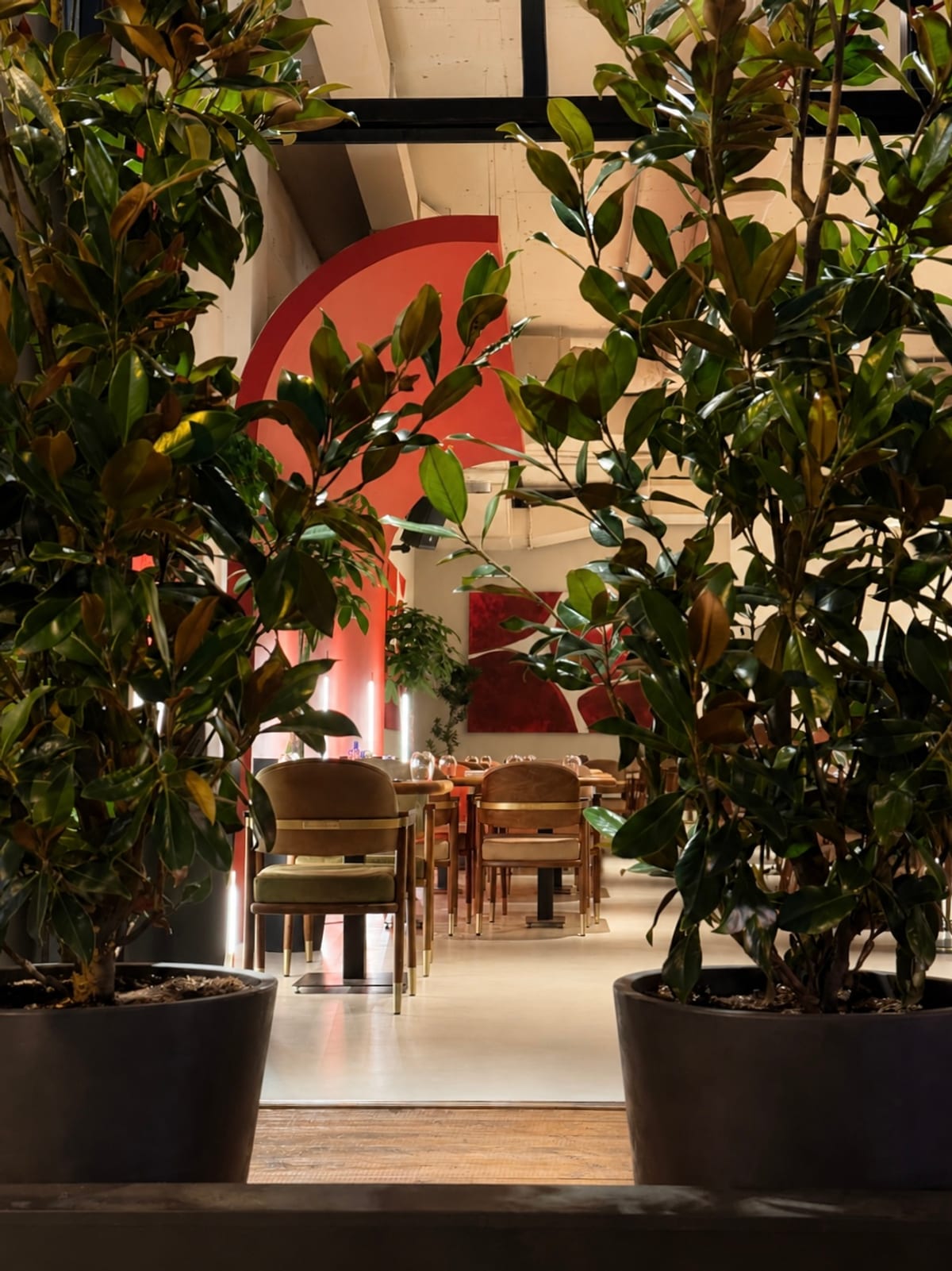 Restoran Zdravko - Restorani, kafei i barovi - Tijana Žišić